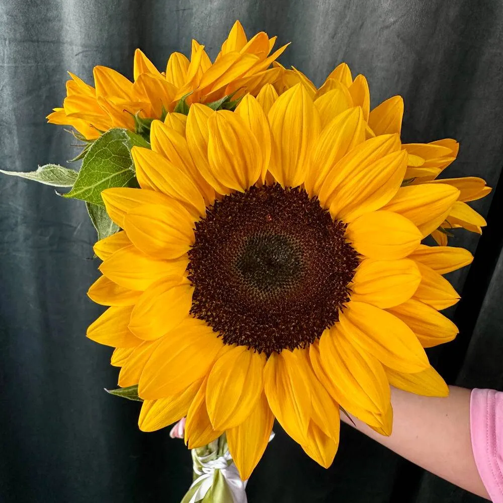 Букет «Солнечное настроение» из подсолнухов фото 4